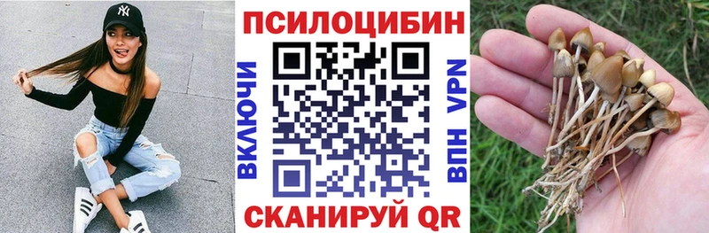 купить  сайты  Старая Русса  Псилоцибиновые грибы мухоморы 